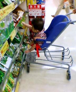 30-ryotashopping